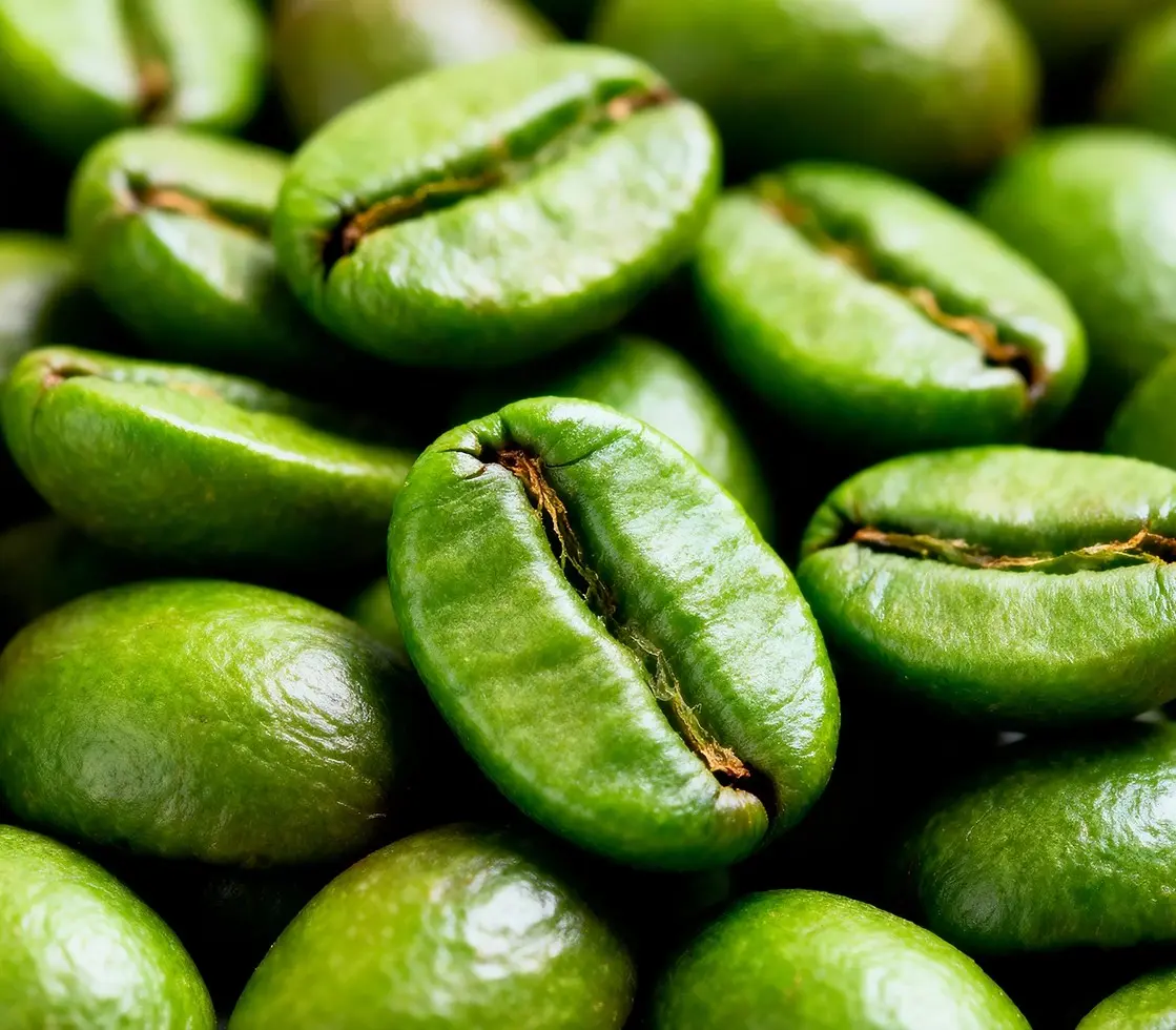 Memocept™ Green Coffee Extract Ingredient
